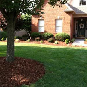 Williams Lawn Care & Snow Removal