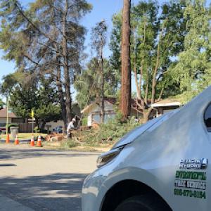 Environmental Tree Service