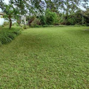 Epic Horizons Landscaping