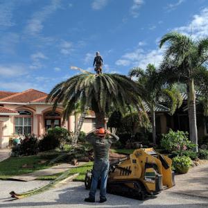 Coastal Mowing & Tree