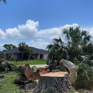 All In 1 Property Maintenance