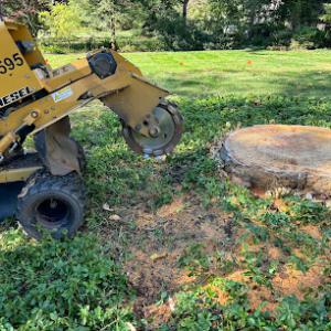 The Grind Stump Removal Service/ Veteran Owned