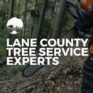 Urban Arbor Care, LLC | Tree Removal & Arborists