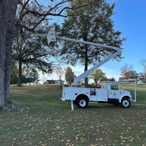 L&B Tree Service