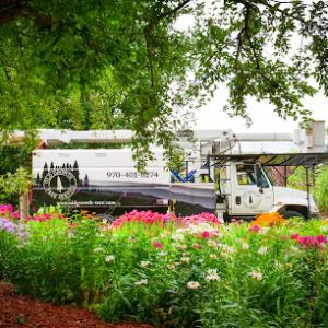 Old Growth Tree Service