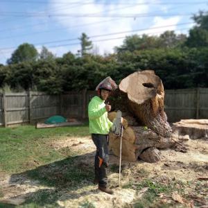 CW Tree & Outdoor Service