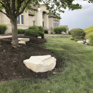 Austin’s Dumpster rentals & tree removal