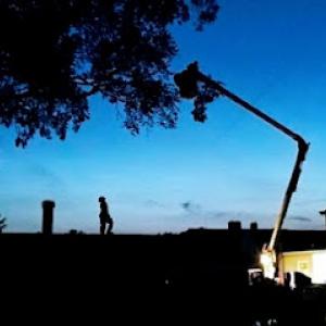 Wooded Ways Tree Removal