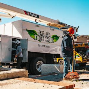 ELM Tree Care