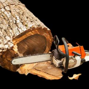 Grind Rite Tree & Stump Removal