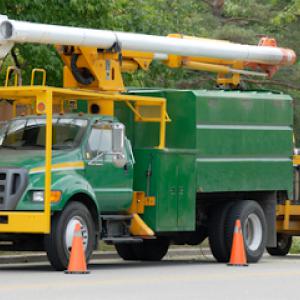 Greater Leominster Tree Service