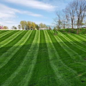 New Leaf Lawn & Landscape