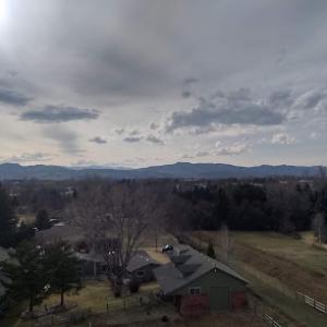 Dillmann's Tree Care