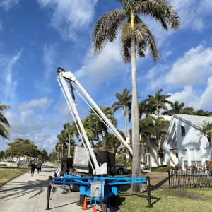 Parsons Tree service