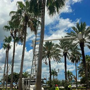 Tri Brothers Tree Service