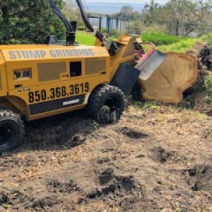 Deadwood Stump Grinding