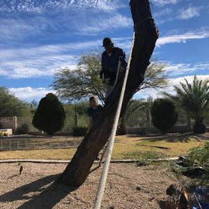 Grove Tree Removal & Landscaping