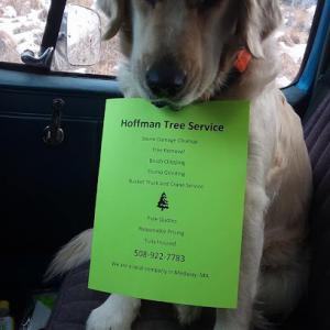 Hoffman Tree Service