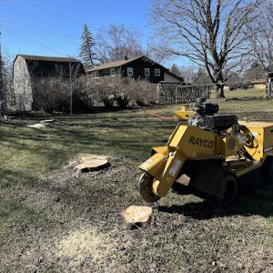 Deepwood Stump Removal
