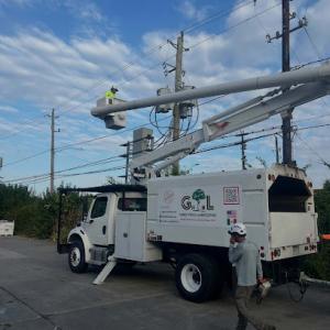 Gomez Trees & Landscaping