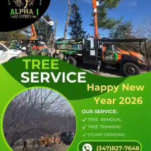 Alpha 1 Tree Experts