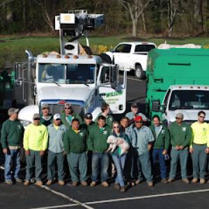 Willow Tree & Landscaping Services