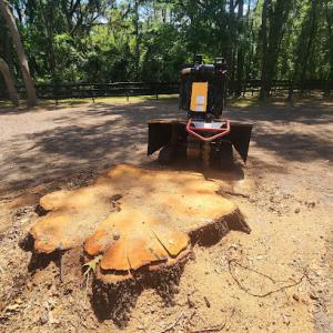Gainesville Stump Grinding