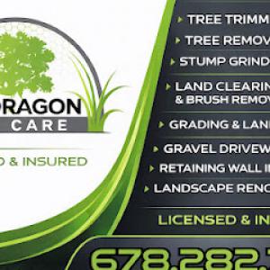 Mondragon Tree Care