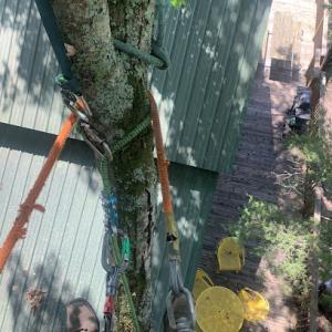 Double E’s Tree Service