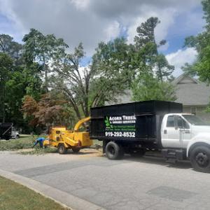 Acorn Tree & Shrubs Services