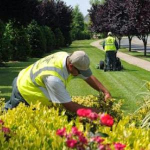 U.S. Lawns - Round Rock