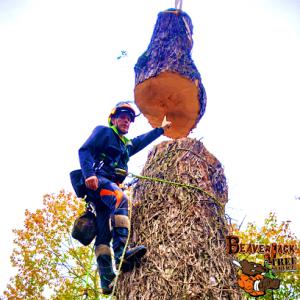 BeaverJack Tree Service