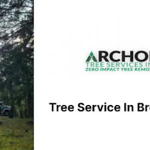 Archon Tree