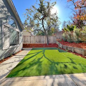 San Jose Tree Service & Landscaping