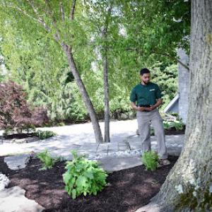 The Davey Tree Expert Company