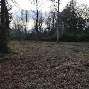 Stewart Tree Service