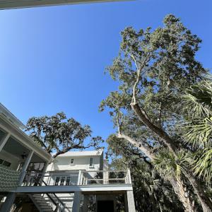 Emmanuel Tree Service