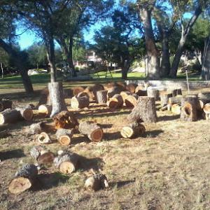 D's Trees & Property Service