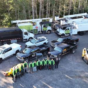 Monarch Tree Services