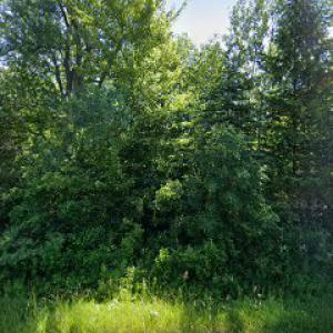 Steve & Trav's Tree Works