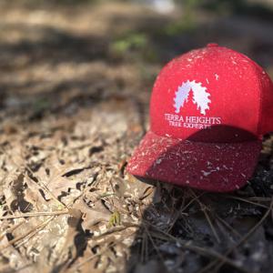 Terra Heights Tree Experts & Landscaping