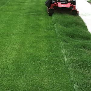 Adams Landscape Management Group