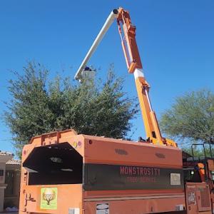 Monstrosity Tree Service