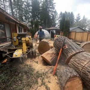 Pacific Tree Solutions