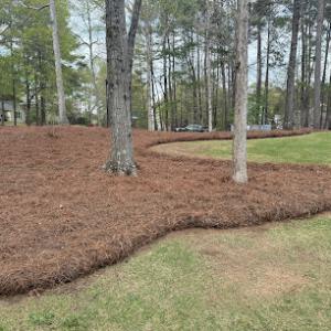 South Side Lawns & Services