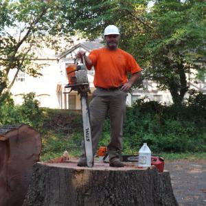 Tatum Tree Care & Removal