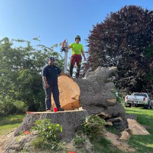 Satti's Family Trees