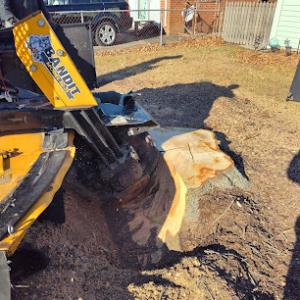 Triple Seven Stump Grinding