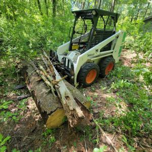 Stay Brush Tree Service