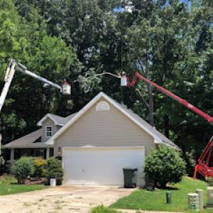 Rocket City Tree Service